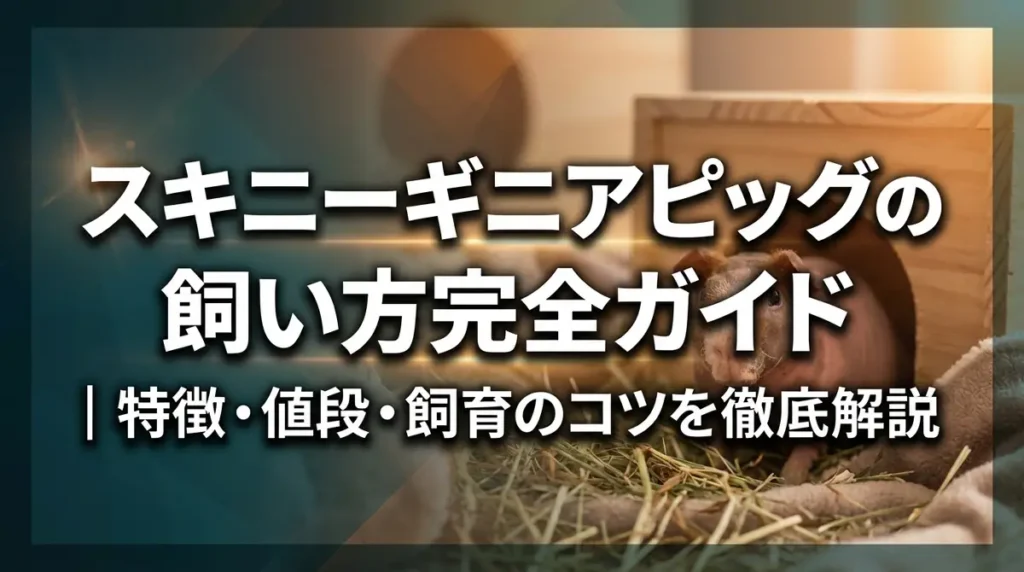 スキニーギニアピッグの飼い方完全ガイド｜特徴・値段・飼育のコツを徹底解説