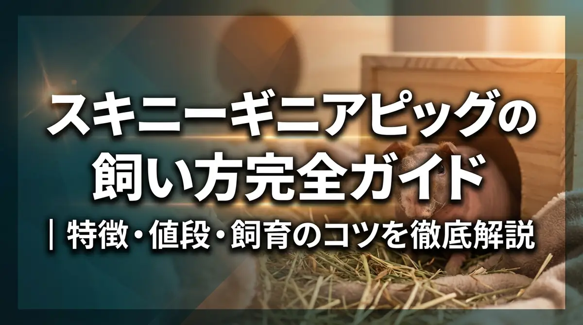 スキニーギニアピッグの飼い方完全ガイド|特徴・値段・飼育のコツを徹底解説