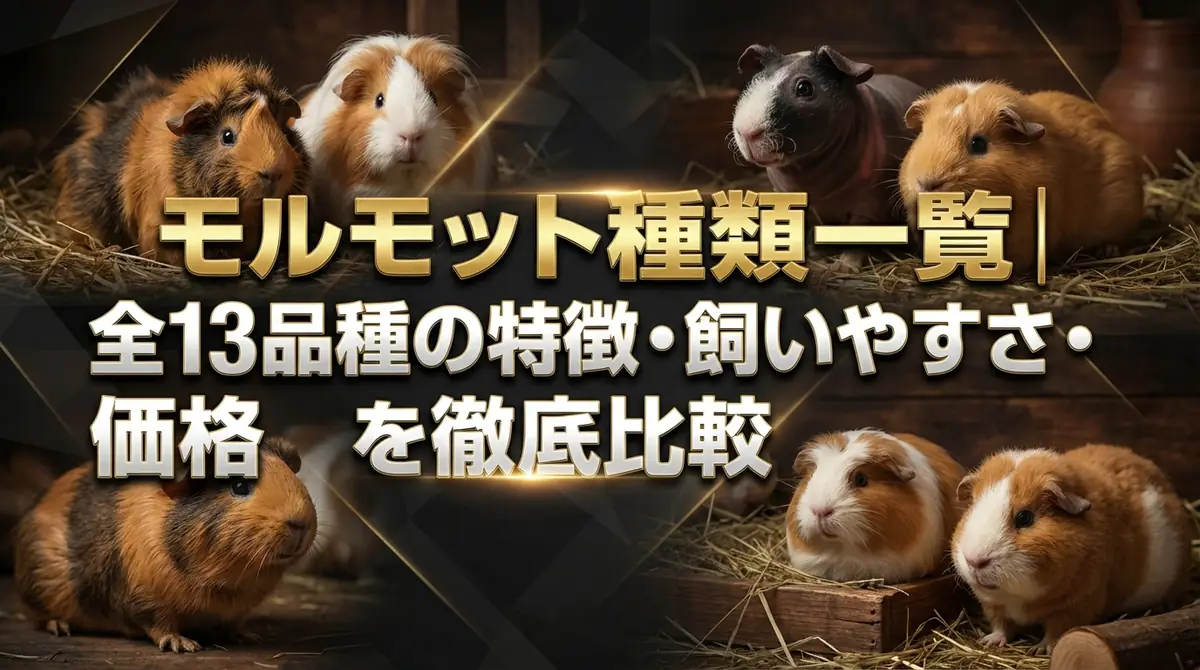 モルモット種類一覧｜全13品種の特徴・飼いやすさ・価格を徹底比較