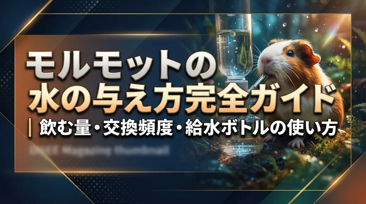 モルモットの水の与え方完全ガイド|飲む量・交換頻度・給水ボトルの使い方