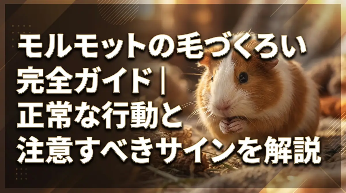 モルモットの毛づくろい完全ガイド|正常な行動と注意すべきサインを解説