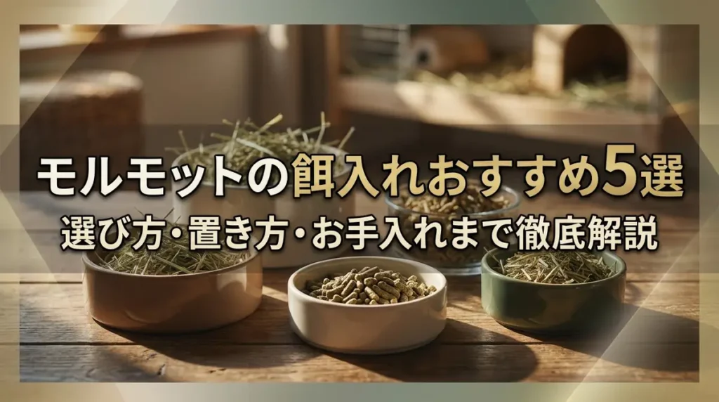 モルモットの餌入れおすすめ5選｜選び方・置き方・お手入れまで徹底解説