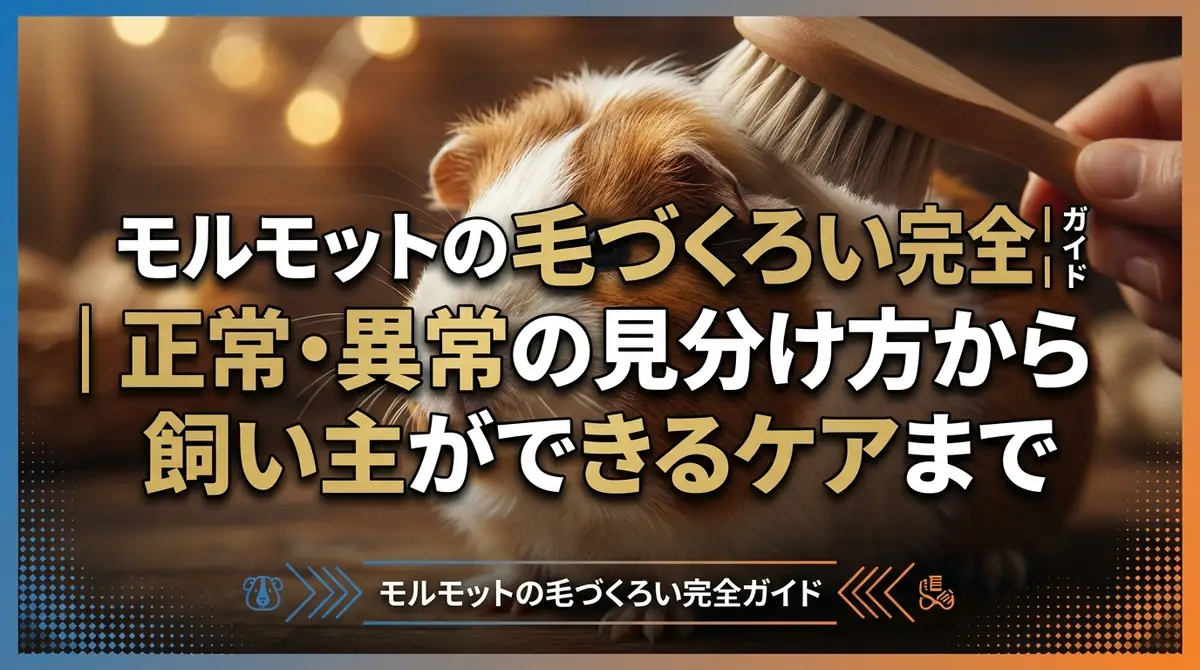 モルモットの毛づくろい完全ガイド|正常・異常の見分け方から飼い主ができるケアまで