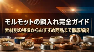 モルモットの餌入れ完全ガイド｜素材別の特徴からおすすめ商品まで徹底解説