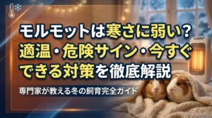 モルモットは寒さに弱い？適温・危険サイン・今すぐできる対策を徹底解説