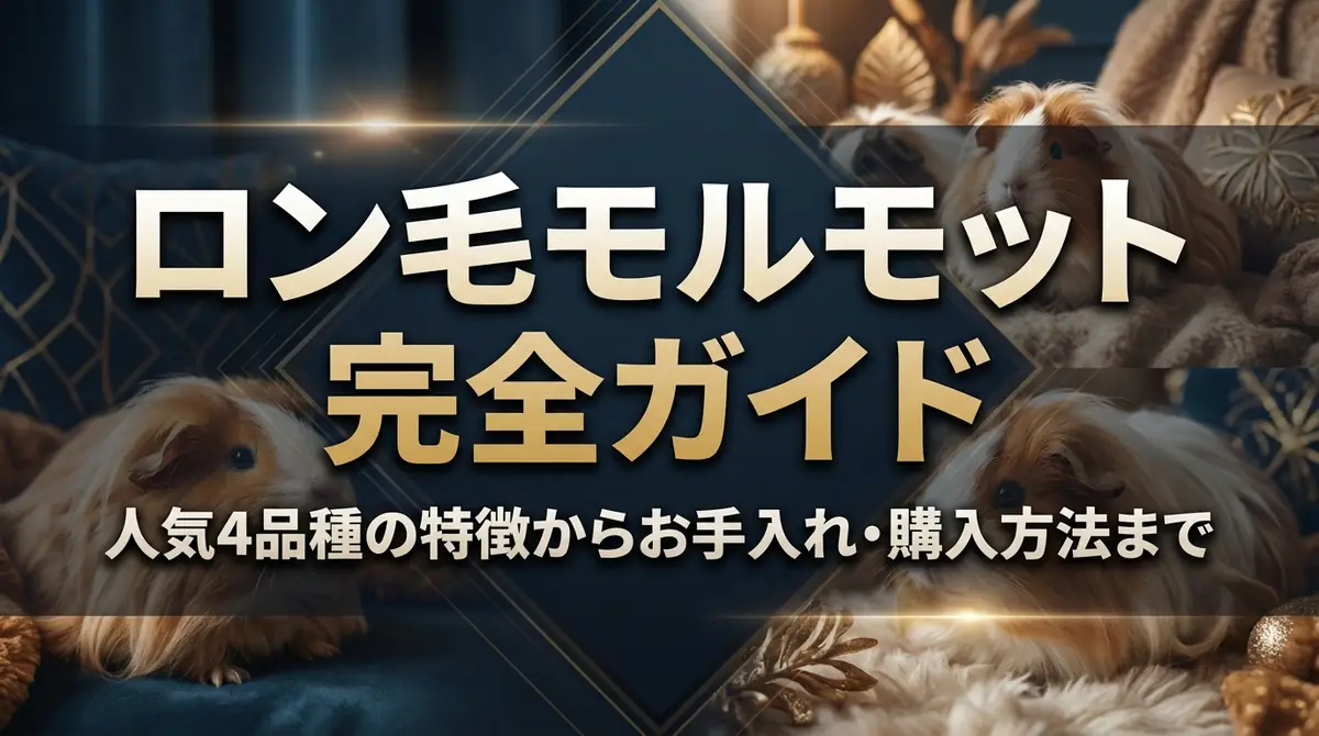 ロン毛モルモット完全ガイド|人気4品種の特徴からお手入れ・購入方法まで