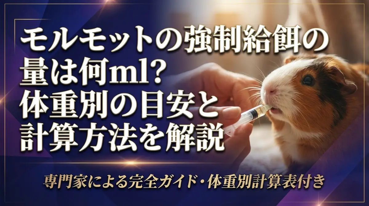 モルモットの強制給餌の量は何ml?体重別の目安と計算方法を解説